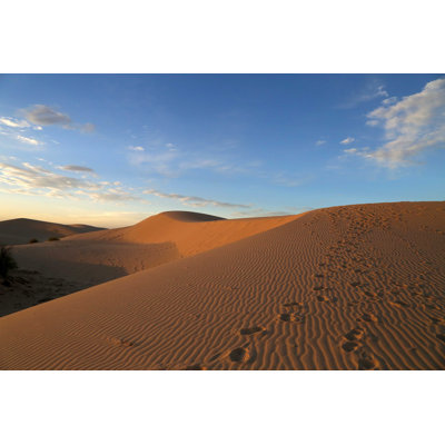 " Sand Dune " by Brucemaloneatx