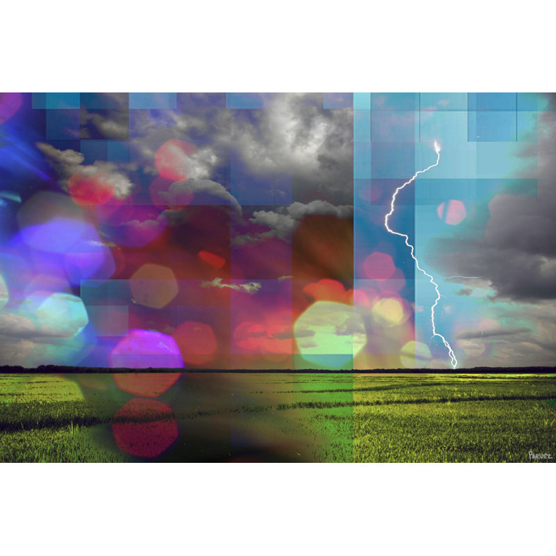 Parvez Taj - Wrapped Canvas Print, 61cm H x 91cm W