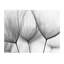 Dandelions Scandi - Single Picture Frame Print-643773488-643773489
