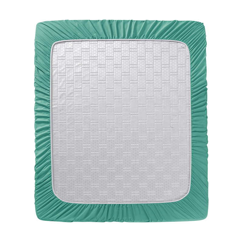 1800 Series Double-Brushed Microfiber Hypoallergenic Sheet Set, Queen Sheet Set with 2 Pillowcases, Mint