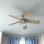 Ventilateur de plafond d'intérieur 52 po avec chaîne de traction et ensemble d'éclairage Foxhaven