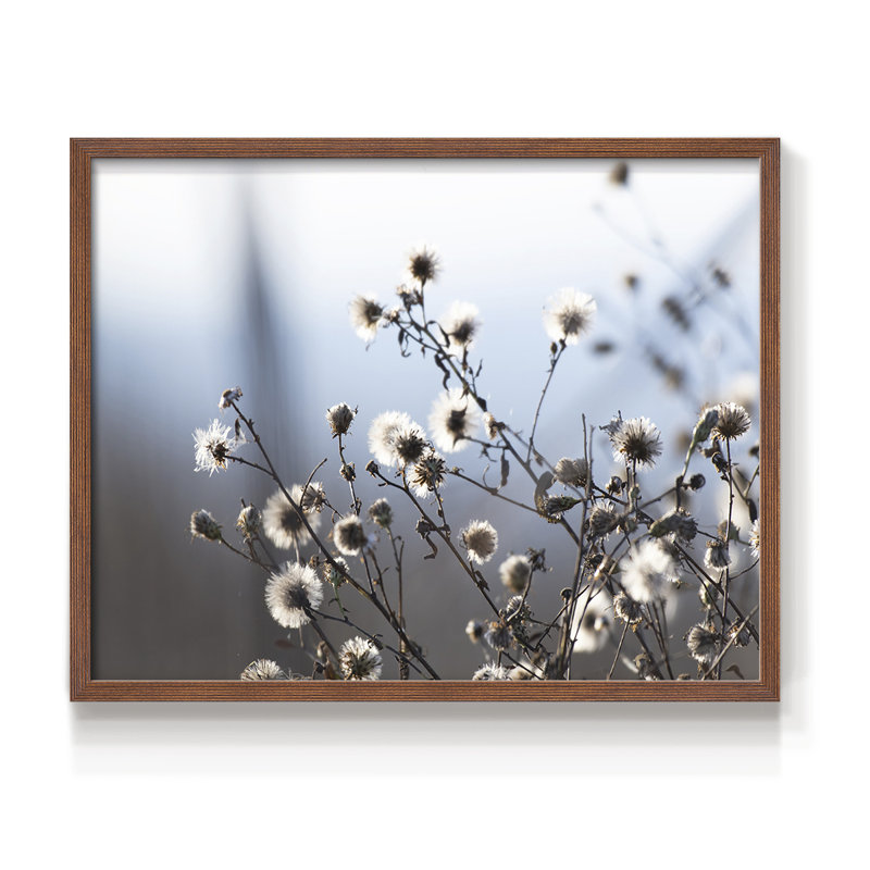 Spring Fluff -Framed Print - Restickable, 16" H x 20" W, Walnut