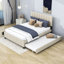 Seemab Upholstered Platform Bed with 2 Drawers, Trundle and Slats-88580541
