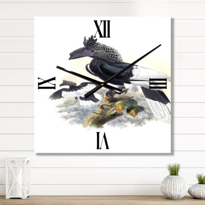 Vintage Australian Birds XVI - Traditional Wall Clock