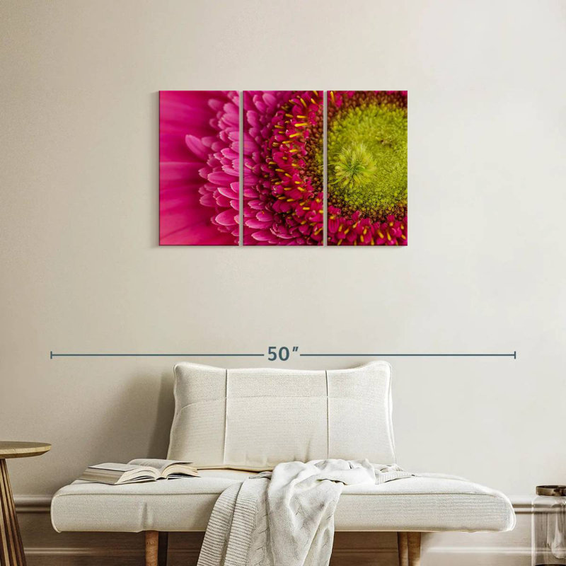 Gerbera magnifiée, H 20 po x l 33 po