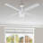 Chism 52'' Ceiling Fan with Light Kit