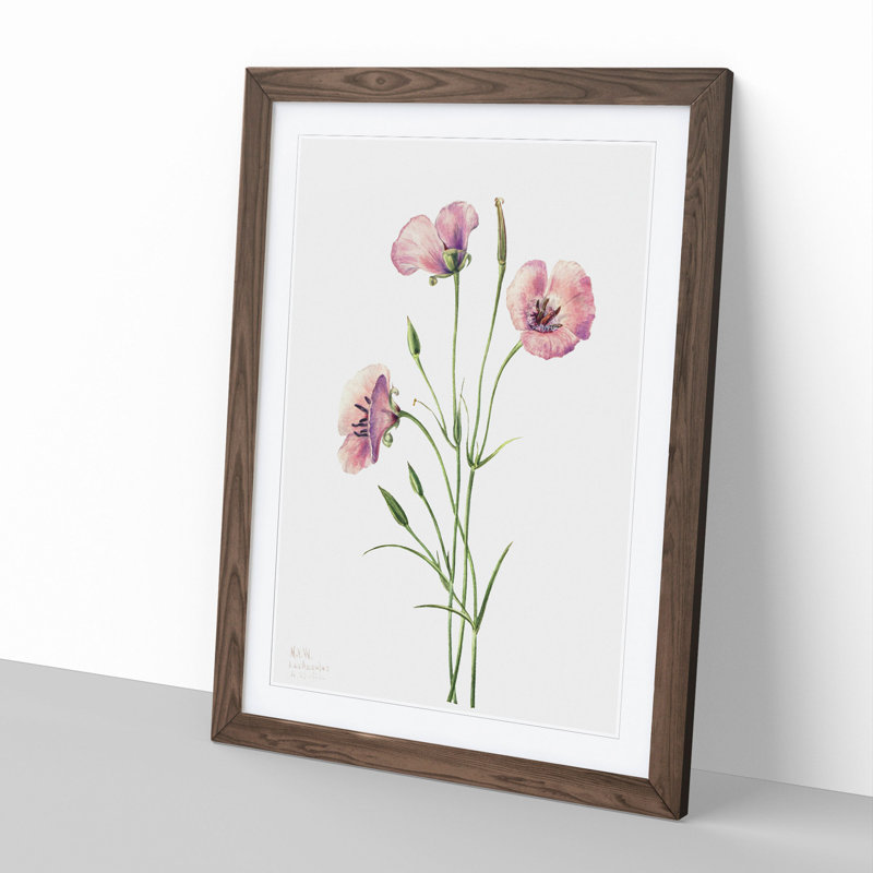 Lilac Mariposa by Mary Vaux Walcott - Picture Frame Painting, 48cm H x 36cm W x 2cm D, Walnut Framed