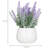 Benita 7'' Faux Flowering Plant in Ceramic Pot