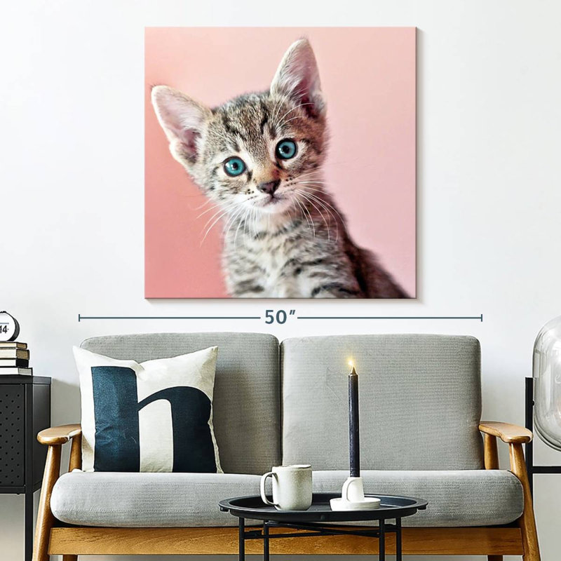 Crowle Staring Cat, 33" H x 33" W