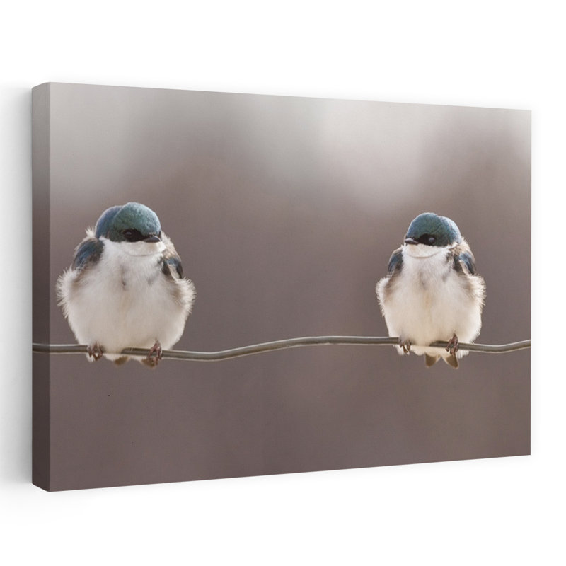 Paire d'oiseaux paisibles, impression d'art mural minimaliste, arbre serein, nature sereine, H 32 po x l 48 po