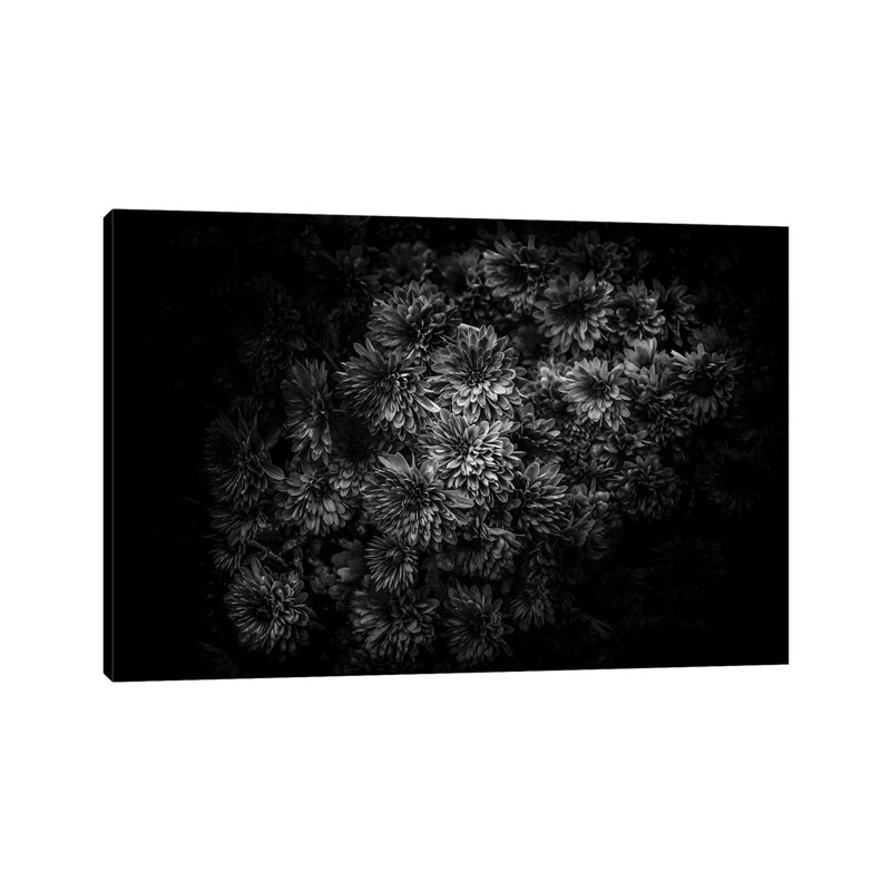 Black And White Mum Bouquet by Brian Carson - Wrapped Canvas Print, 30.48 cm H x 45.72 cm W