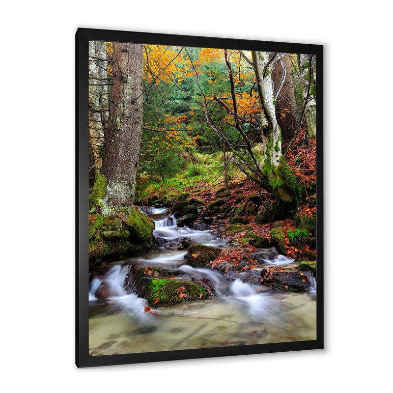 «Beautiful Autumn Forest Waterfall VI», reproduction d'art sur toile traditionnelle, Cadre photo noir