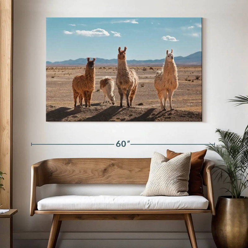 Four Llamas, 34" H x 51" W