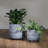 Footed Planter 6/8"