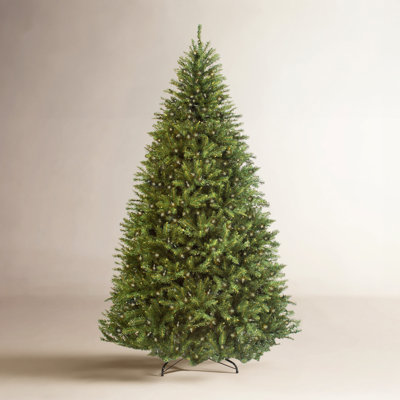 Douglas Frosted 6' Pre-Lit Fir Christmas Tree