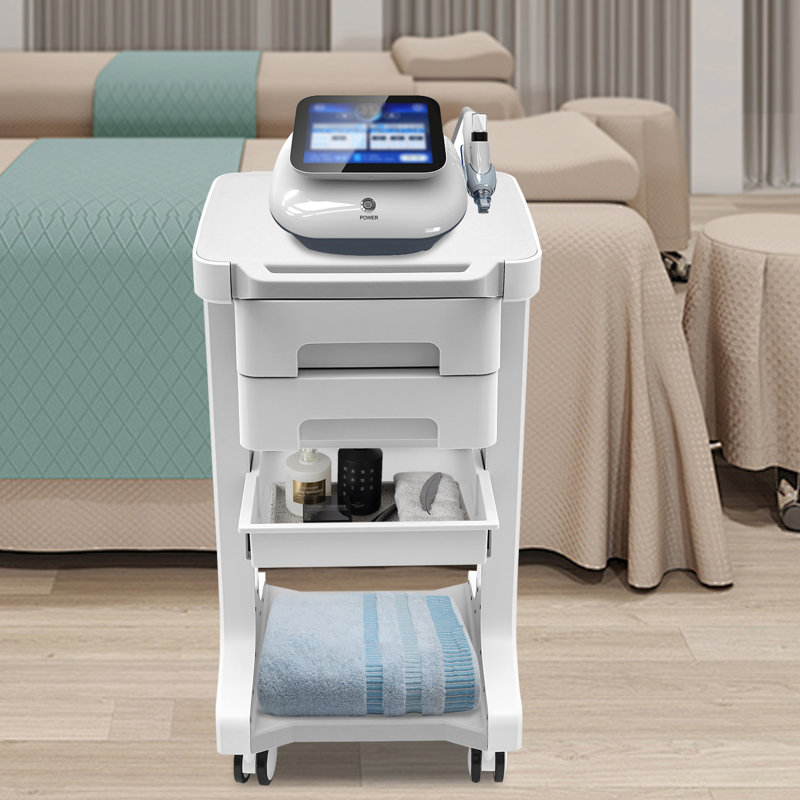 3-Tier Professional Utility Cart Mobile With 2 Drawers Storage Mobile Cart, Gray/White