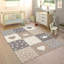 Coan Rug-1238486955-1223593591