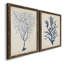Indigo Coral III - ensemble de 2 reproductions d'art encadrées-1967713762-1967713764-1967876247