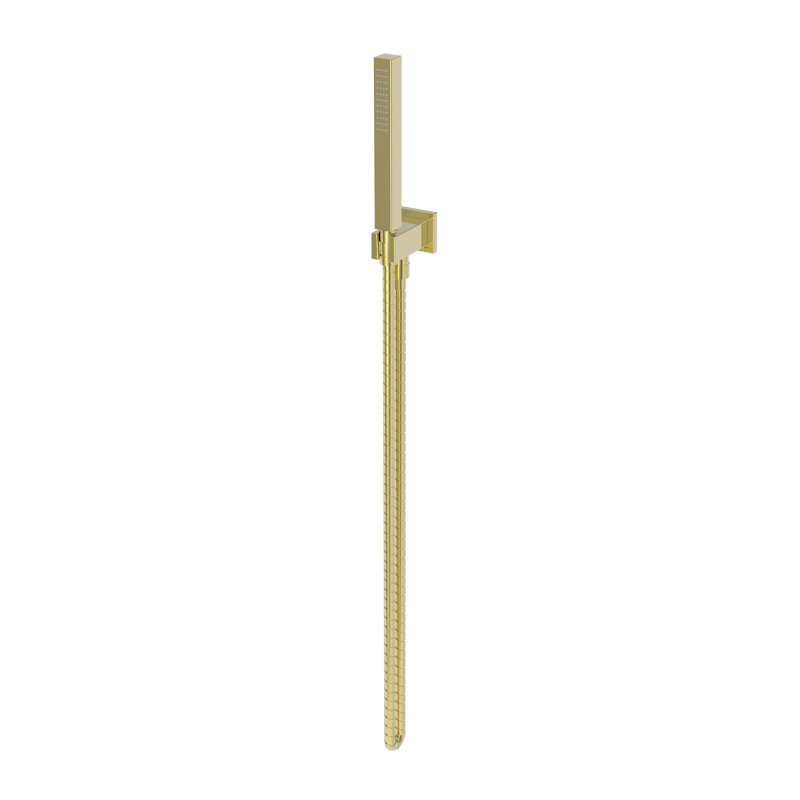 Single Function Hand Shower Set, Forever Brass (PVD)