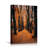 Autumn Fall " Orange Autumn Garden Path Nature Forest Trees "-99142074-99142072