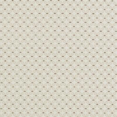 Sagamore Hill Woven's Fabric, Straw