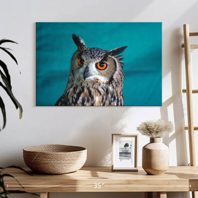 Hibou charmant de Brampt