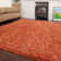 Anastyn Solid Colour Shag Area Rug