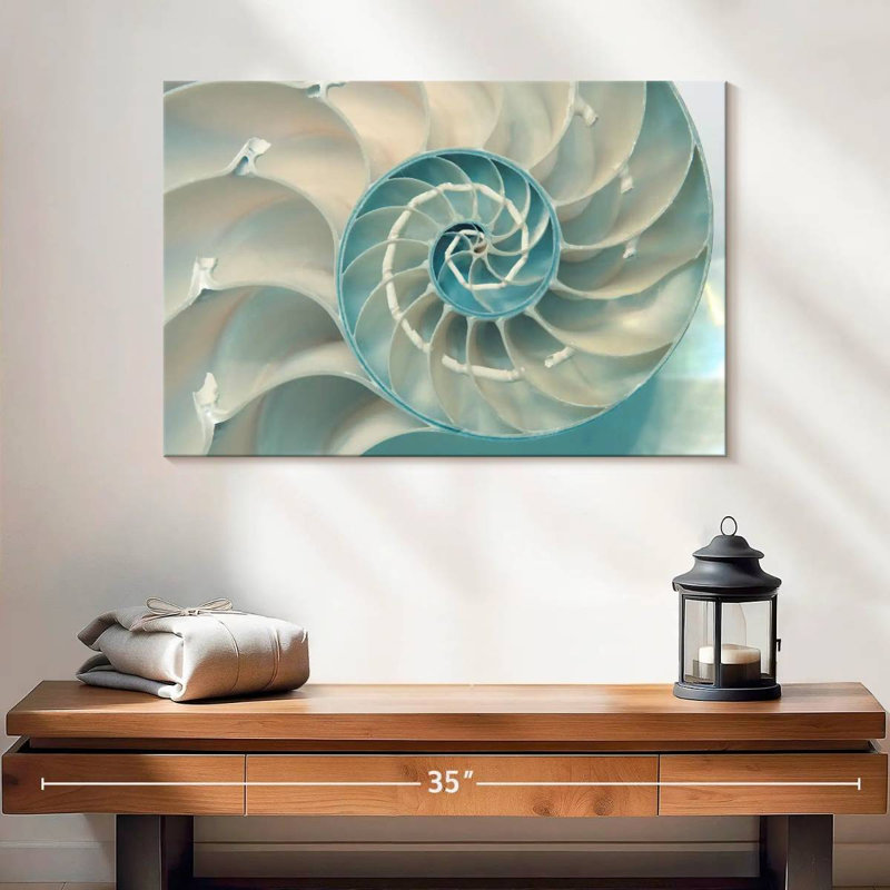 À l'intérieur d'une coquille Nautilus, H 16 po x l 24 po