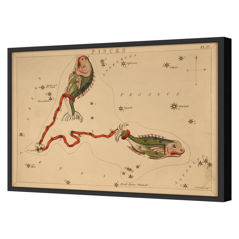 Pisces Print by Grand Archives, Black Framed, 22" H x 31" W
