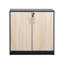 Nifong 2 -Door 1 -Shelf Storage Cabinet-1283844113