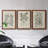 " Antique Black And White Botanical VII " 3 - Pieces-408395202-408395207