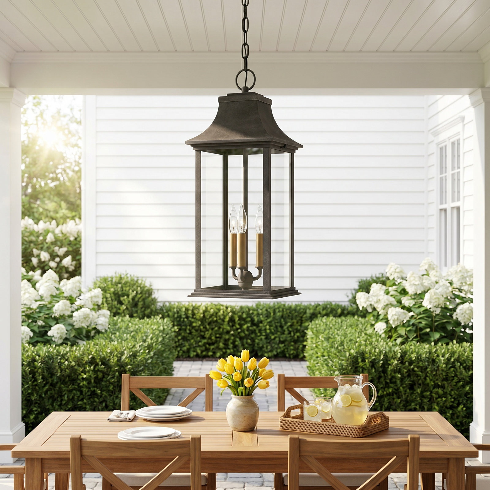 Adair Outdoor Hanging Lantern