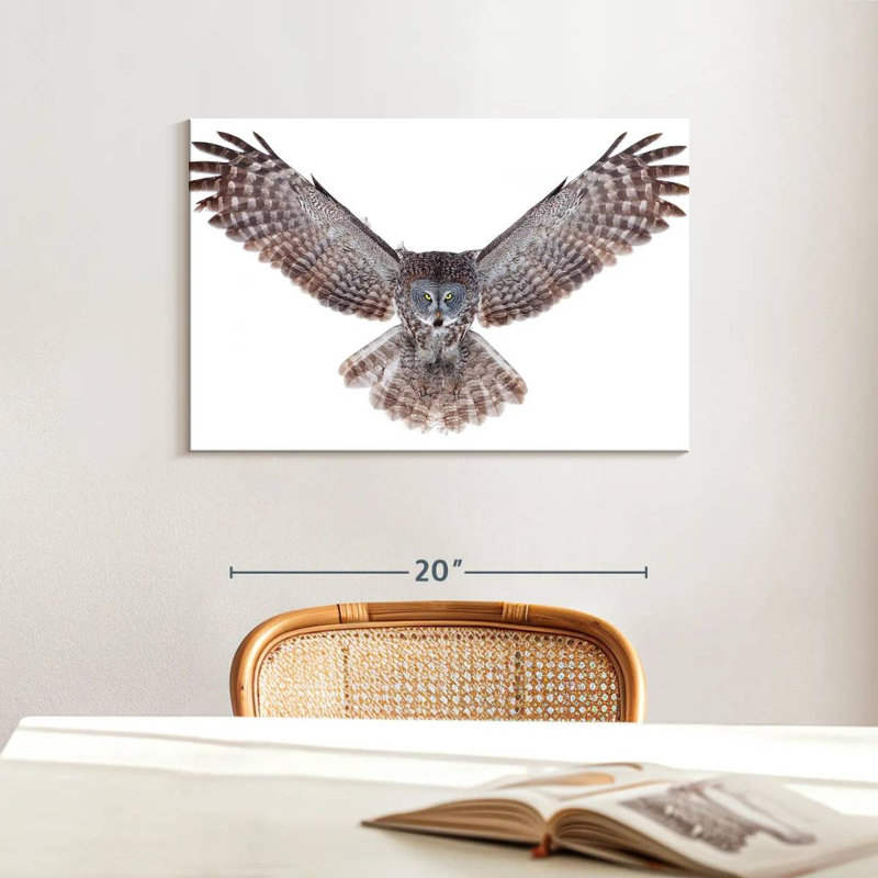 Owl Power, 16" H x 24" W