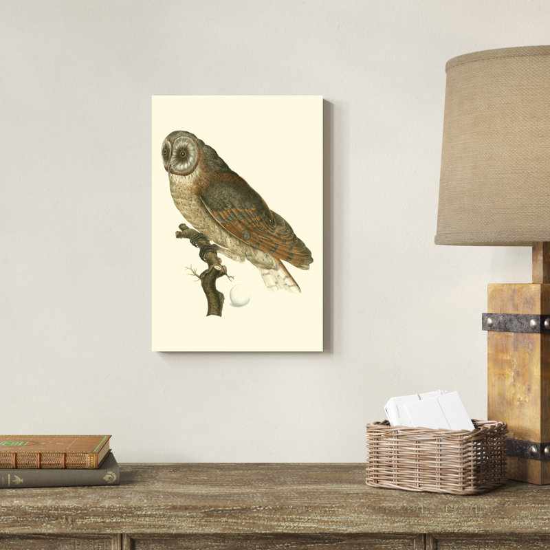 Nozeman Owls IV, H 18 po x l 12 po x P 1 po