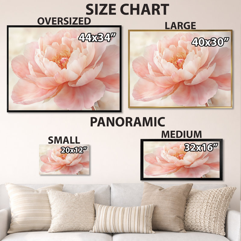 Pivoine douce rose crème en fleur II - Tableau encadré, H 12 po x l 20 po, Cadre photo noir