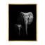 Éléphant d'Afrique sauvage en noir et blanc - Impression sur toile-165377355-165377362