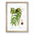 Oak Framed selected
