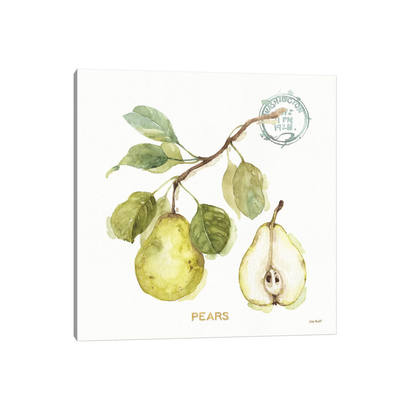 My Greenhouse Fruit I by Lisa Audit - Wrapped Canvas Gallery-Wrapped Canvas Giclée, 30.48 cm H x 30.48 cm W