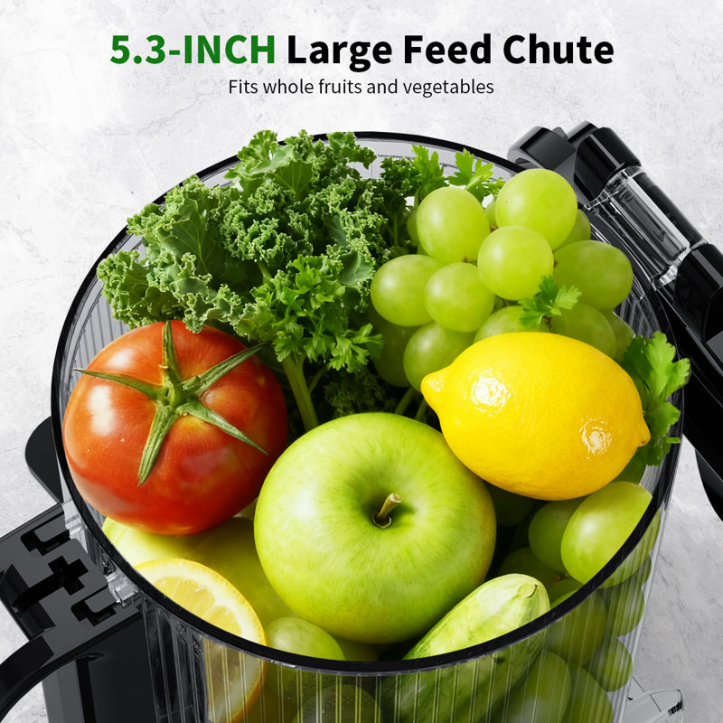 Ecoself 5.3" Wide Chute Cold Press Juicer, 1.7L Large Capacity, High Juice Yield with Total Pulp Control, Easy Clean Slow Juicer Machine