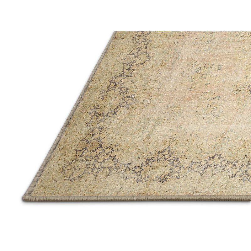 Cateluta Oriental Indoor Rug, Rectangle 2' x 5'