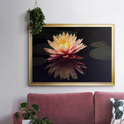 Photographie, étude, nénuphar encadré sur toile