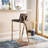 Saddle Upholstered Counter Stool with Metal Frame-26099157
