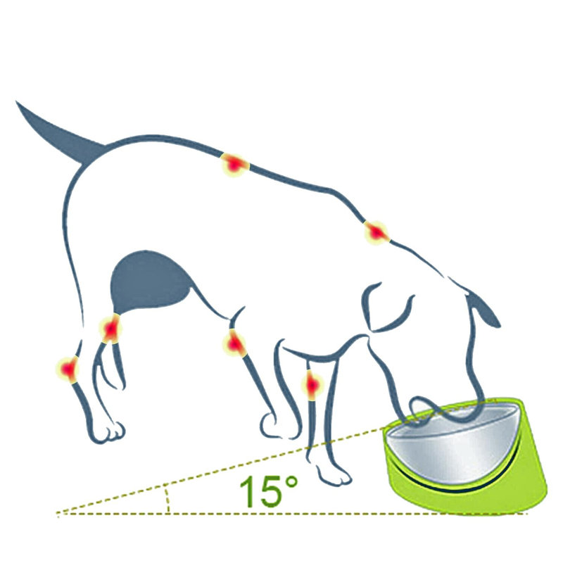 Pawtucket Anti-Skid Pet Bowl, Pink