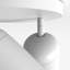 Koto 3 - Light Spotlight-120785574