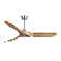 Karly 60" Ceiling Fan with LED Lights