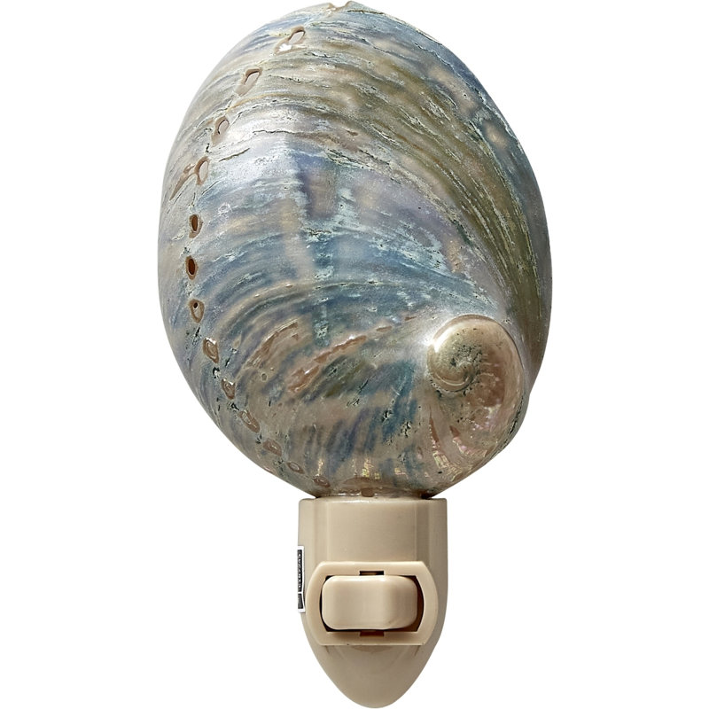 Polished Greenlip Abalone LED Night Light