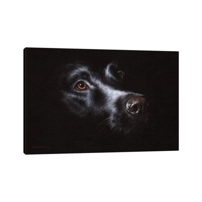 Black Labrador by Rachel Stribbling - Wrapped Canvas Painting