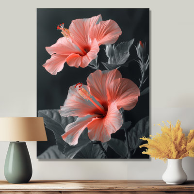 Hibiscus rose, gris, tropical, tentation - Hibiscus
