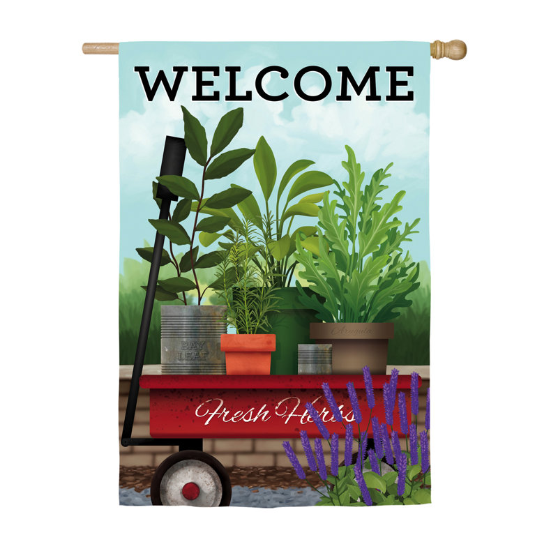 Double Sided 43'' H x 29'' W Polyester House Flag