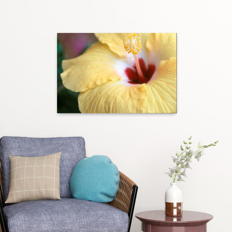 Hibiscus délicat, élégant, fleur d'hibiscus tranquille, art naturel, H 16 po x l 24 po